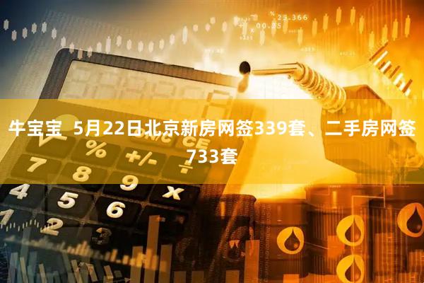 牛宝宝  5月22日北京新房网签339套、二手房网签733套