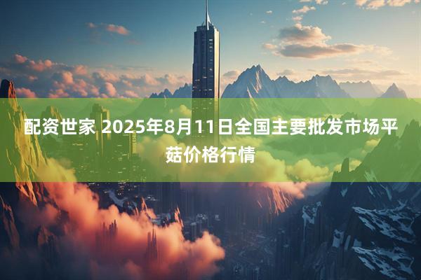 配资世家 2025年8月11日全国主要批发市场平菇价格行情