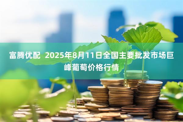 富腾优配  2025年8月11日全国主要批发市场巨峰葡萄价格行情