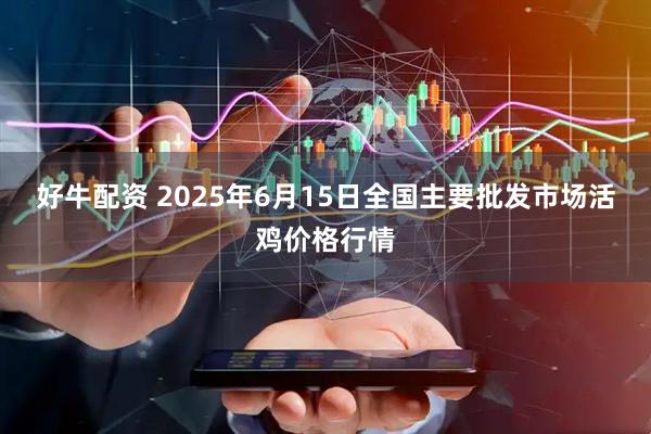 好牛配资 2025年6月15日全国主要批发市场活鸡价格行情