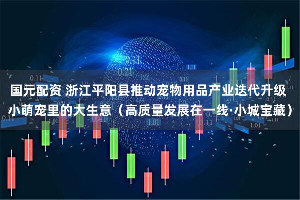 国元配资 浙江平阳县推动宠物用品产业迭代升级 小萌宠里的大生意（高质量发展在一线·小城宝藏）