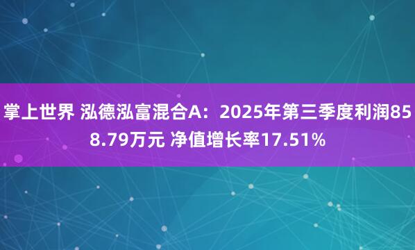 掌上世界 泓德泓富混合A：2025年第三季度利润858.79万元 净值增长率17.51%